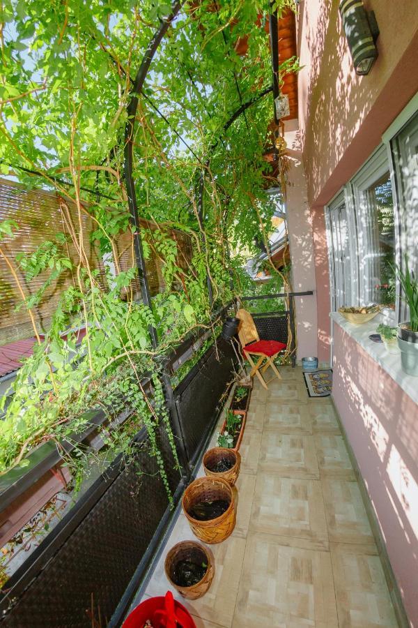 Apartman Zamak סומבור מראה חיצוני תמונה